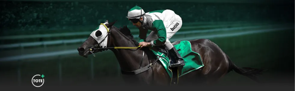 王楚钦孙颖,莎奥运混双,首战获胜,香港赛马会,赛程安排,赛果查询,马匹资料,比赛分析